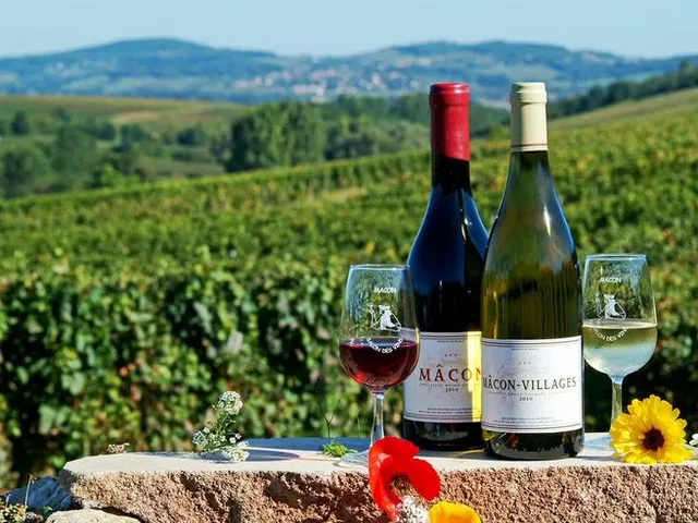 What is the difference between burgundy and claret wine?